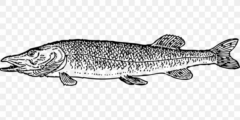 Northern Pike Drawing Fishing Clip Art, PNG, 960x480px, Northern Pike, Animal Figure, Black And White, Drawing, Fauna Download Free