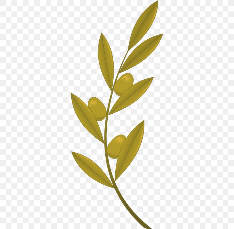 Olive Branch Royalty-free, PNG, 800x800px, Olive Branch, Art, Branch, Chef, Drawing Download Free