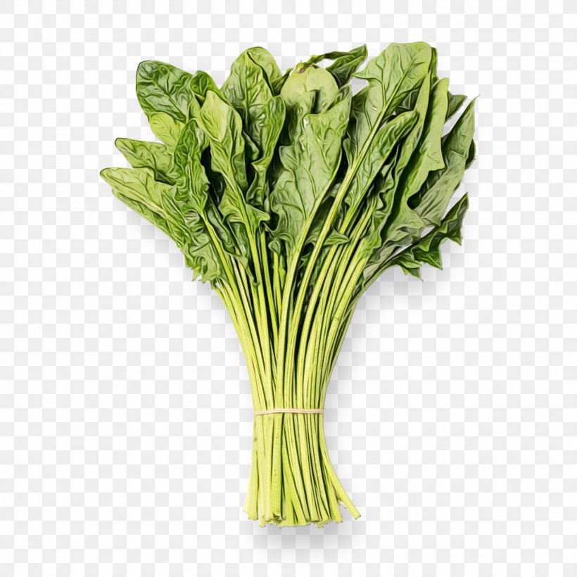 Vegetables Cartoon, PNG, 1500x1500px, Chard, Arugula, Celery, Celtuce, Chinese Broccoli Download Free