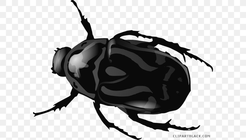 Beetle Clip Art Openclipart Drawing Graphics, PNG, 600x468px, Beetle, Arthropod, Black And White, Cartoon, Drawing Download Free