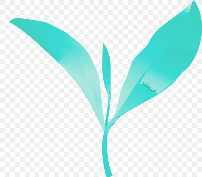 Feather, PNG, 3000x2636px, Tea Leaves, Aqua, Feather, Leaf, Logo Download Free