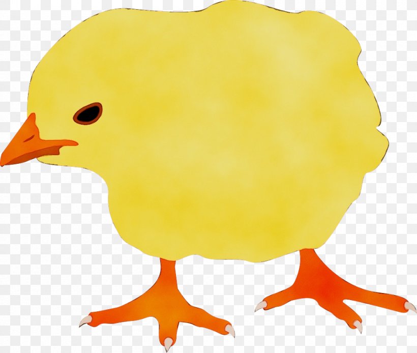 Bird Beak Yellow Chicken Clip Art, PNG, 1000x847px, Watercolor, Beak, Bird, Chicken, Flightless Bird Download Free