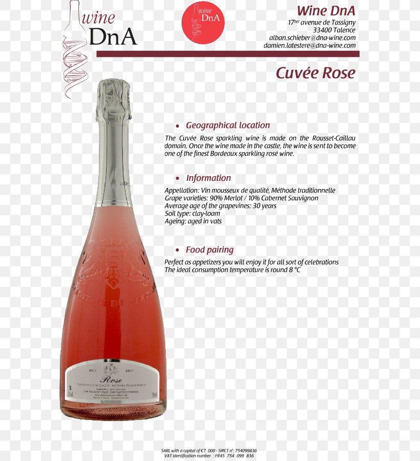 Champagne Bordeaux Wine Rosé Inseec Business School, PNG, 600x900px, Champagne, Alcoholic Beverage, Bordeaux, Bordeaux Wine, Bottle Download Free