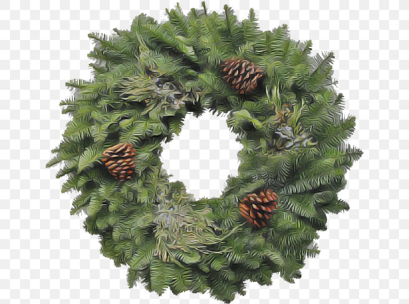 Christmas Decoration, PNG, 640x610px, Shortleaf Black Spruce, American Larch, Balsam Fir, Branch, Canadian Fir Download Free