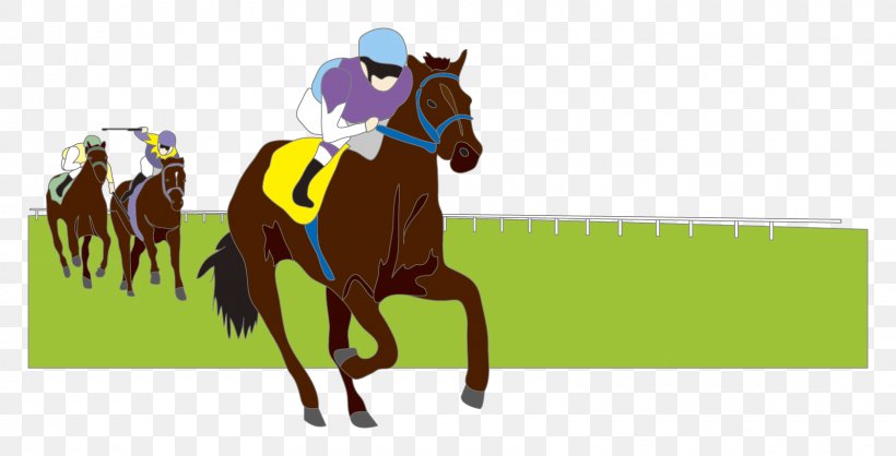 Horse Racing 予想 Takamatsunomiya Kinen Jockey, PNG, 1600x817px, Horse, Animal Sports, Bridle, Cheval De Course, Equestrian Download Free
