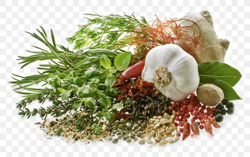 Organic Food Herb Nutrition Spice, PNG, 940x592px, Organic Food, Ayurveda, Ayurveda Herbs, Basil, Cooking Download Free