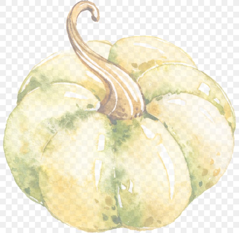 Pumpkin, PNG, 800x798px, Vegetable, Cucurbita, Food, Fruit, Gourd Download Free