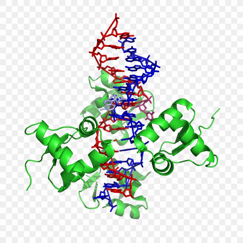 Z-DNA Nucleic Acid Double Helix ADAR A-DNA, PNG, 1620x1620px, Zdna, Adar, Adenosine Deaminase Zalpha Domain, Adna, Alexander Rich Download Free