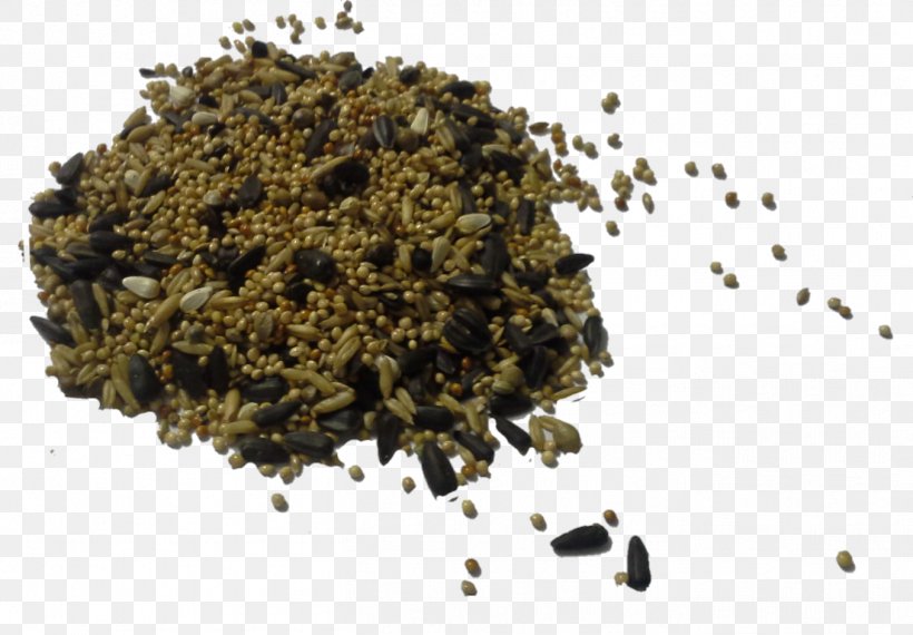 Assam Tea Seasoning Mixture Camellia Sinensis, PNG, 1356x943px, Assam Tea, Camellia Sinensis, Earl Grey Tea, Hojicha, Mixture Download Free