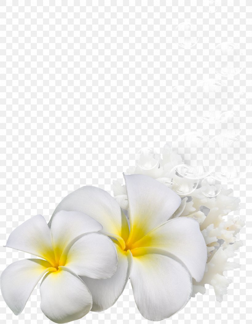 Cut Flowers Petal Still Life Photography Pin, PNG, 933x1200px, Flower, Cut Flowers, Fashion, Flowering Plant, Frangipani Download Free