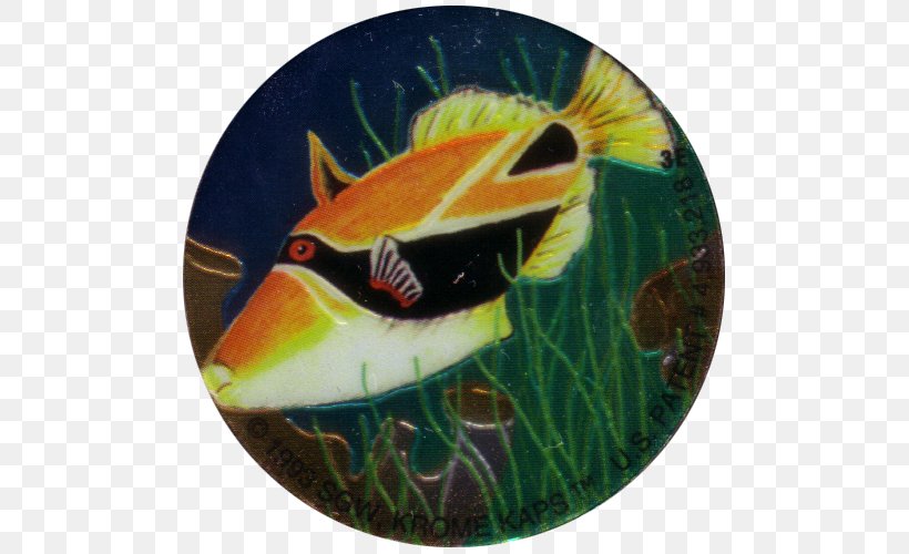 Fauna Fish, PNG, 500x500px, Fauna, Fish, Organism Download Free