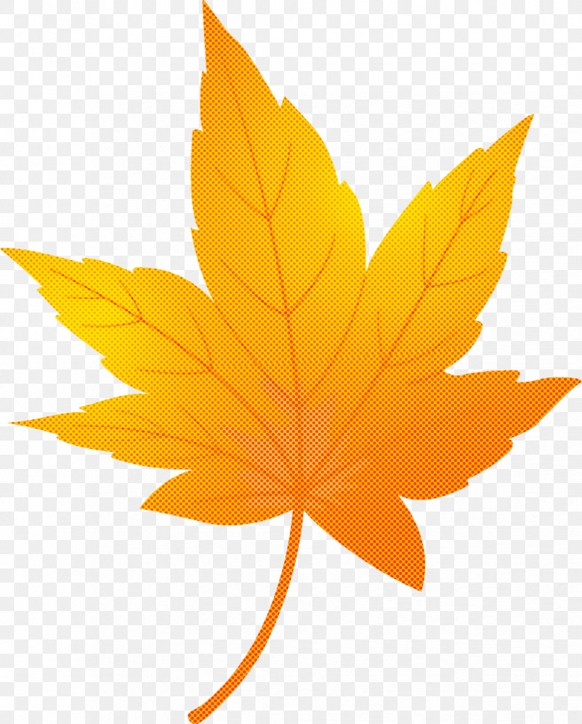 Maple Leaf Autumn Leaf Yellow Leaf, PNG, 824x1024px, Maple Leaf, Autumn Leaf, Black Maple, Deciduous, Flower Download Free