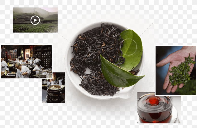 Oolong Kombucha Black Tea Da Hong Pao, PNG, 1193x774px, Oolong, Assam Tea, Black Tea, Brand, Camellia Sinensis Download Free