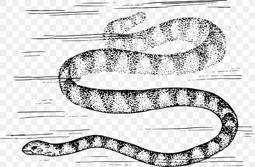 Rattlesnake Vipers Boa Constrictor Clip Art, PNG, 2400x1571px, Rattlesnake, Black And White, Boa Constrictor, Boas, Cobra Download Free