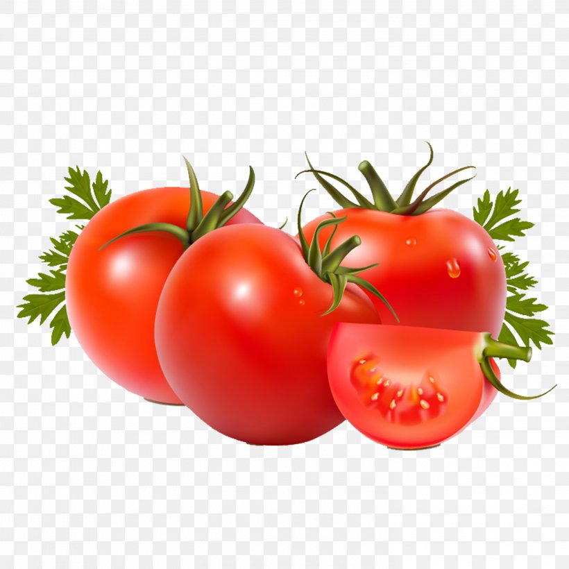 Roma Tomato Vegetable Beefsteak Tomato Fruit Food, PNG, 2953x2953px, Roma Tomato, Beefsteak Tomato, Bush Tomato, Diet Food, Eating Download Free