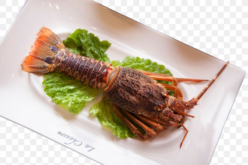 Lobster Seafood Prawn Palinurus Elephas, PNG, 1024x683px, Lobster, Animal Source Foods, Cuisine, Dendrobranchiata, Dish Download Free