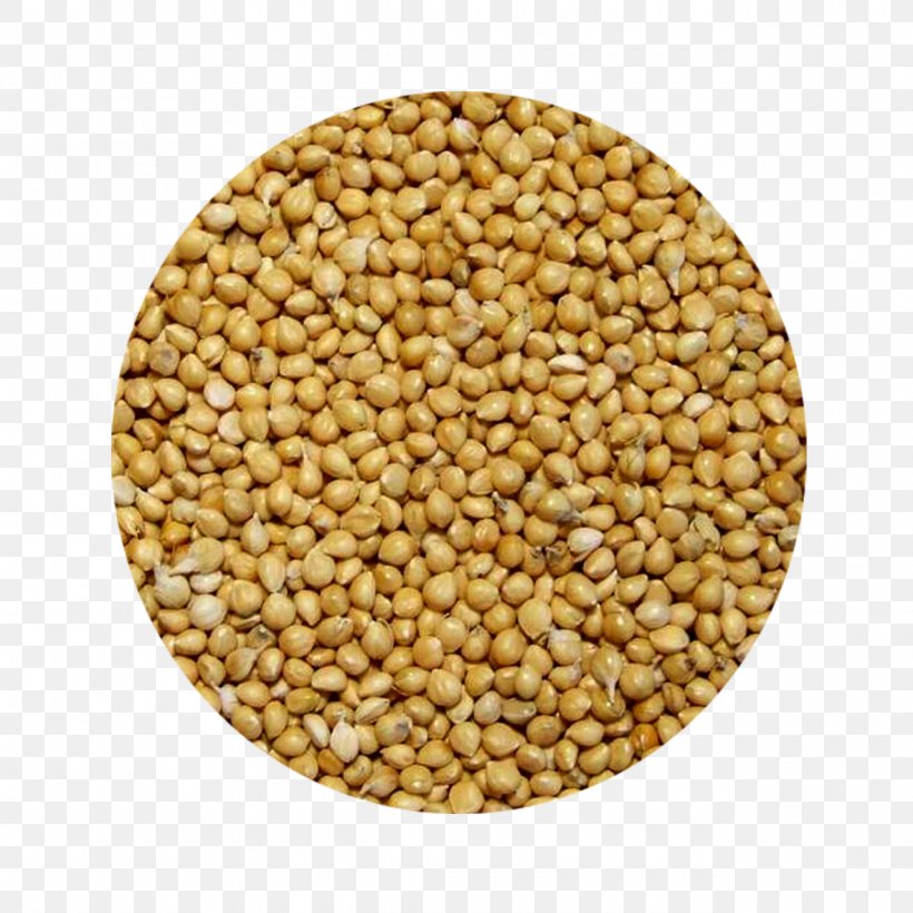 Proso Millet Grain Seed Cereal, PNG, 1280x1280px, Proso Millet, Barley, Bean, Bran, Cereal Download Free