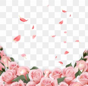 Pink Rose Images Pink Rose Transparent Png Free Download