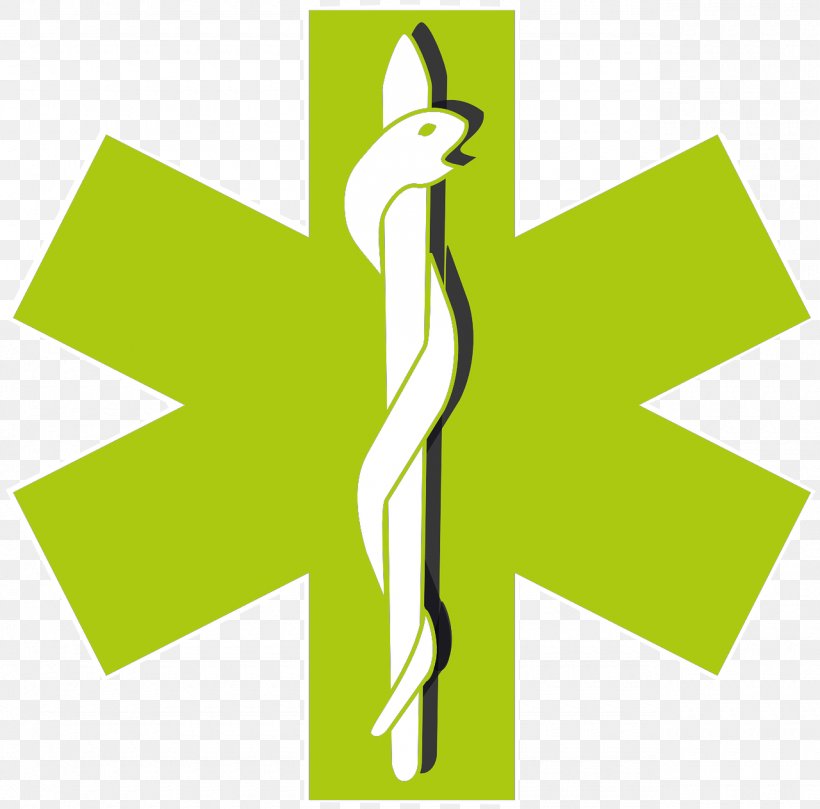 Star Of Life Emergency Medical Services Paramedic Clip Art, PNG, 1280x1263px, Star Of Life, Ambulance, Brand, Emergency Medical Services, Emergency Medical Technician Download Free