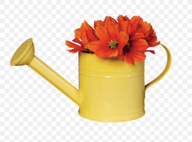 Watering Cans Gardening 97 Things To Do Before You Finish High School Clip Art, PNG, 800x608px, Watering Cans, Bucket, Flower, Flower Garden, Flowerpot Download Free