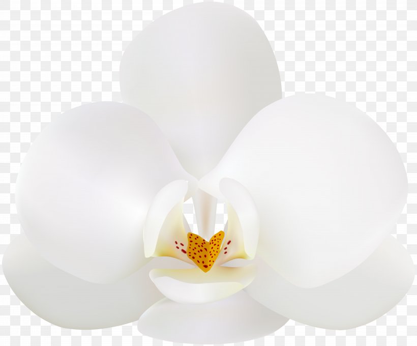 White Design Product, PNG, 8000x6637px, Flower, Lamp, Lighting, Petal, Product Design Download Free