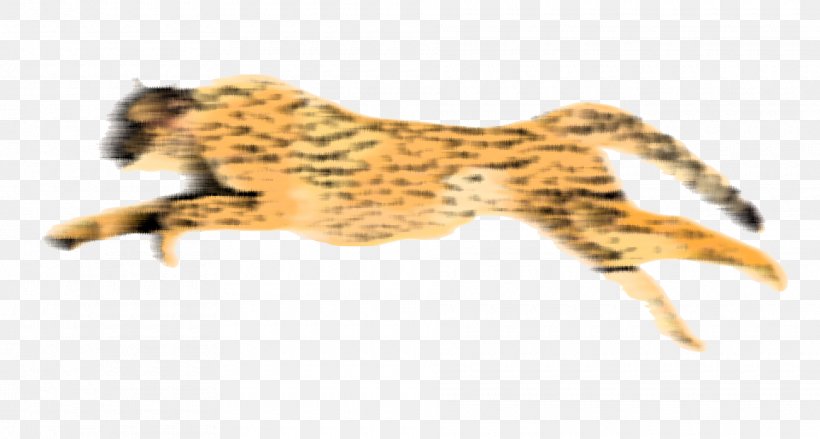 Cheetah Leopard, PNG, 1920x1028px, Cheetah, Animation, Big Cats, Carnivoran, Cat Like Mammal Download Free