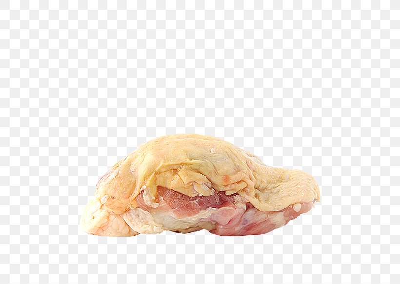 Chicken Meat Ingredient Animal Fat, PNG, 560x581px, Chicken, Animal Fat, Bone, Cat, Chicken Meat Download Free