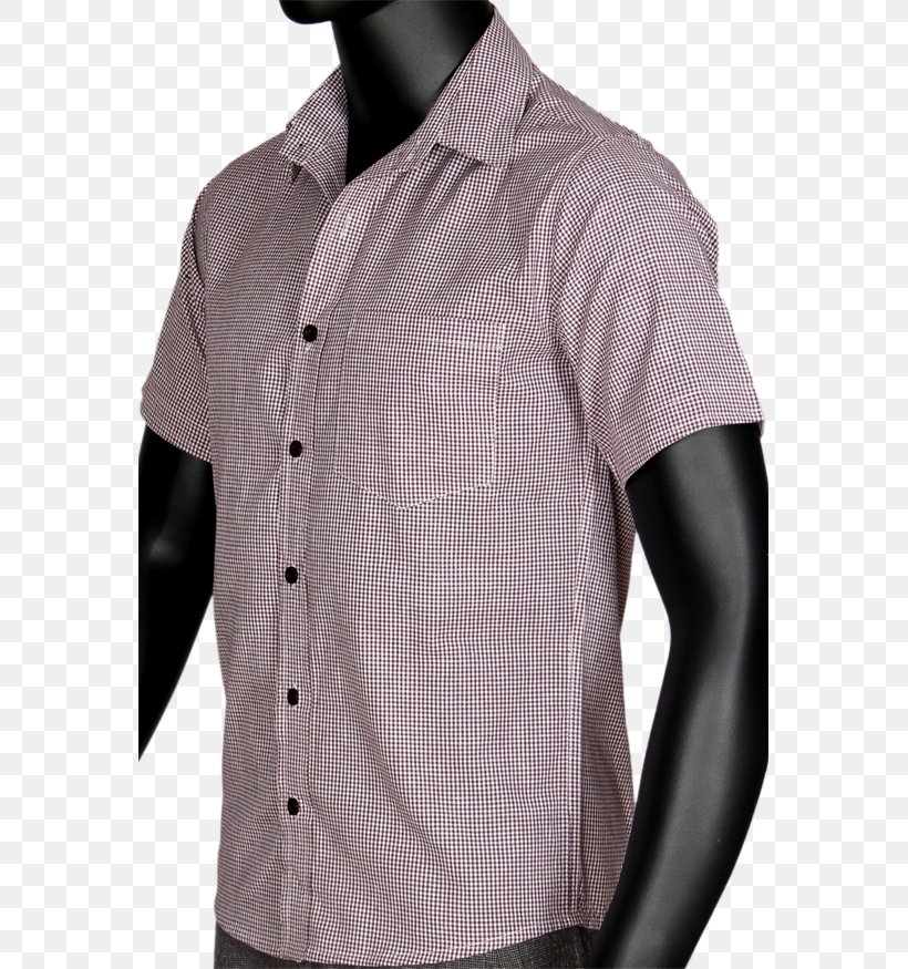 Dress Shirt Collar Button Neck Outerwear, PNG, 569x875px, Dress Shirt, Barnes Noble, Button, Collar, Neck Download Free