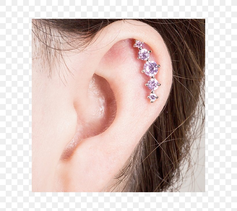Earring Helix Piercing Cartilage Piercing Barbell Body Piercing, PNG, 730x730px, Earring, Barbell, Body Jewellery, Body Piercing, Cartilage Download Free