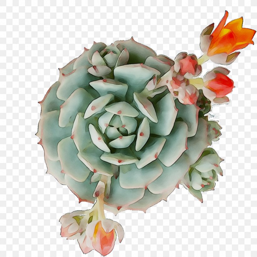 Flower, PNG, 1280x1280px, Flower, Echeveria, Pachyphytum, Petal, Plant Download Free