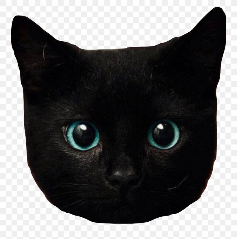 Kitten Eye Black Cat Bombay Cat British Longhair, PNG, 1202x1213px, Kitten, American Wirehair, Animal, Asian, Black Download Free