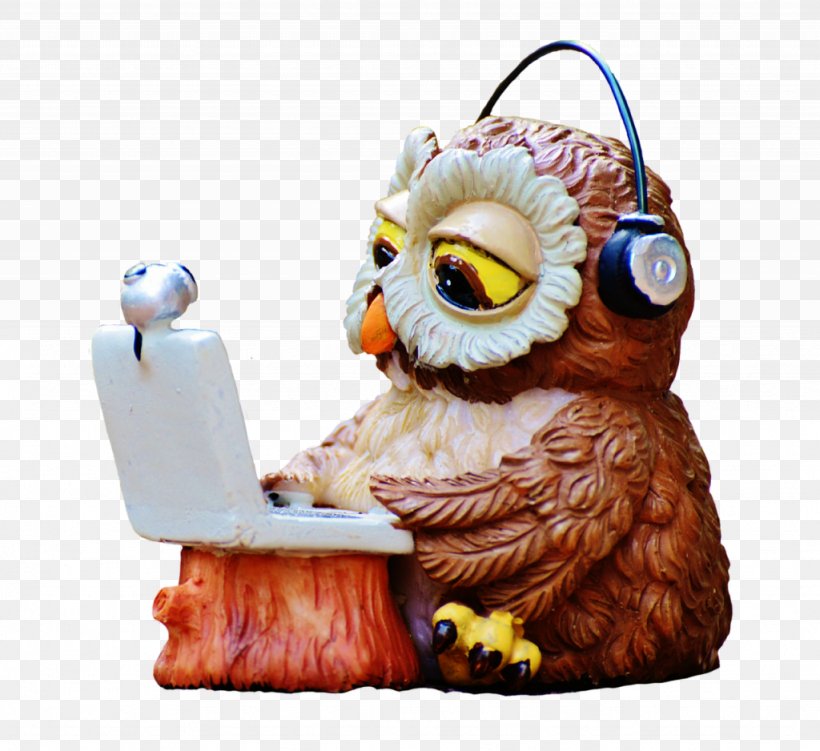 Owl Image Laptop Bird Download, PNG, 1024x938px, Owl, Animal, Beak, Bird, Bird Of Prey Download Free