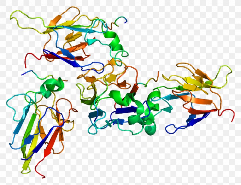 CHEK2 Serine/threonine-specific Protein Kinase BRCA1 Gene, PNG, 961x735px, Protein, Area, Art, Artwork, Brca Mutation Download Free