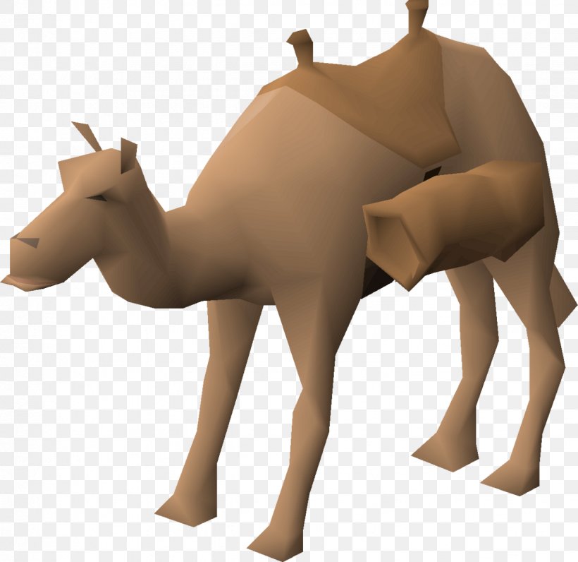 Dromedary Horse Pack Animal Deer Neck, PNG, 1234x1198px, Dromedary, Animal Figure, Animation, Arabian Camel, Art Download Free