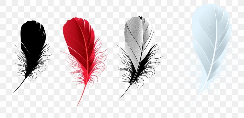 Feather PhotoFiltre, PNG, 1084x525px, Feather, Brush, Ink, Photofiltre, Quill Download Free