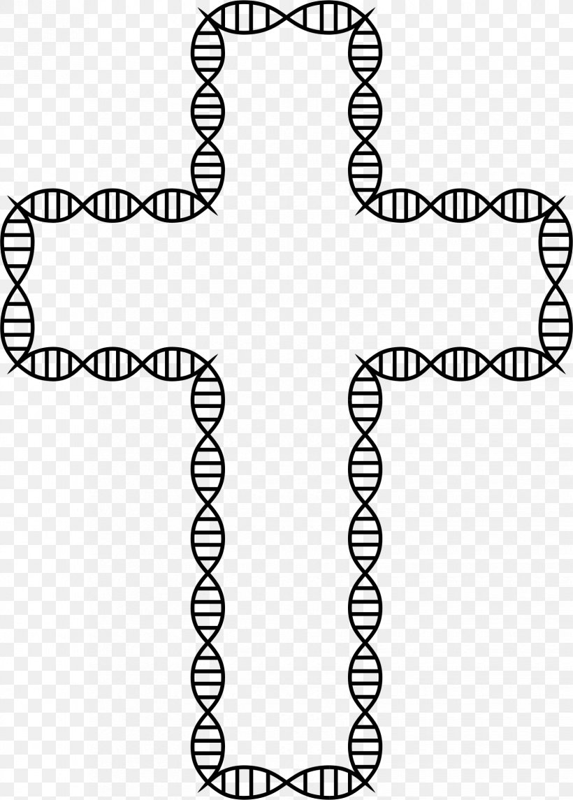 DNA–DNA Hybridization Nucleic Acid Double Helix Gene Biology, PNG, 1650x2304px, Dna, Area, Biology, Black, Black And White Download Free