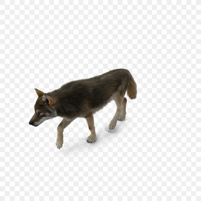 Dog Breed Coyote, PNG, 1000x1000px, 3d Computer Graphics, Dog, Animal, Canidae, Carnivoran Download Free