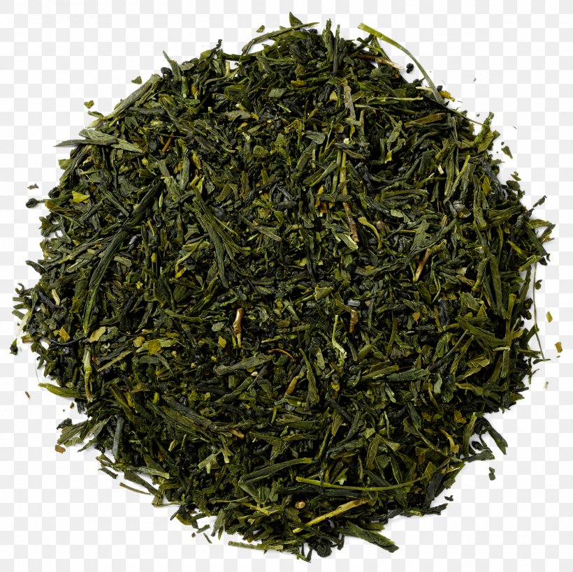 Gyokuro Green Tea Masala Chai Nilgiri Tea, PNG, 1600x1600px, Gyokuro, Assam Tea, Bai Mudan, Bancha, Biluochun Download Free