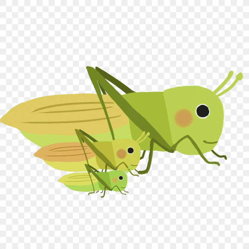 虫 Insect Oneiromancy Divination Pest, PNG, 1000x1000px, Insect, Arthropod, Cricket, Cricket Like Insect, Divination Download Free