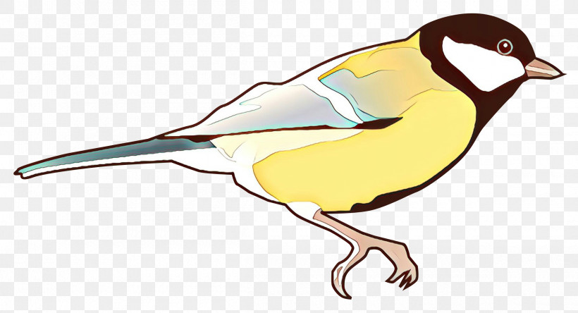 Bird Beak Finch Wildlife Perching Bird, PNG, 2400x1302px, Bird, Beak, Finch, Perching Bird, Wildlife Download Free