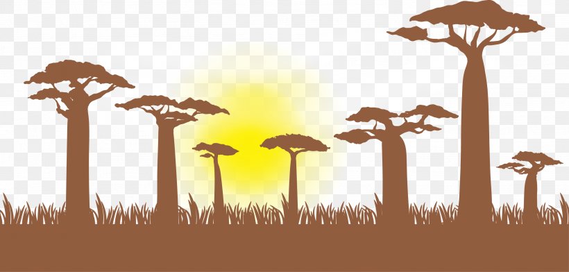 Giraffe Baobab Illustration, PNG, 2917x1395px, Giraffe, Baobab, Fauna, Giraffidae, Grass Download Free