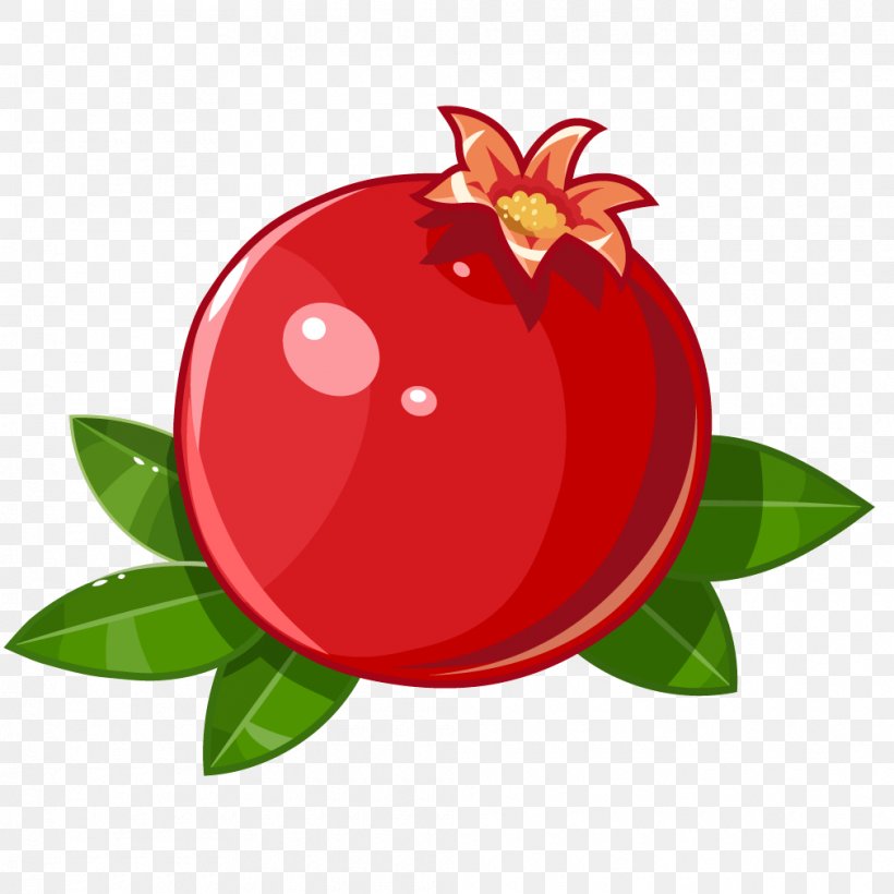 Juice Pomegranate Fruit Stock Illustration, PNG, 1010x1010px, Juice, Apple, Flower, Food, Fruit Download Free