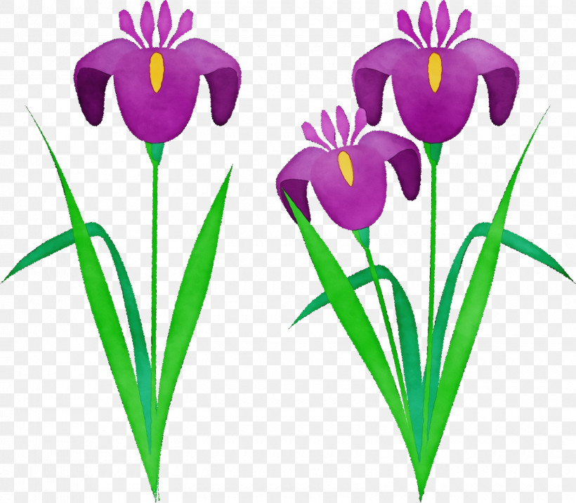 Sales, PNG, 1600x1398px, Watercolor, Crocus, Cut Flowers, Flower, Herbaceous Plant Download Free