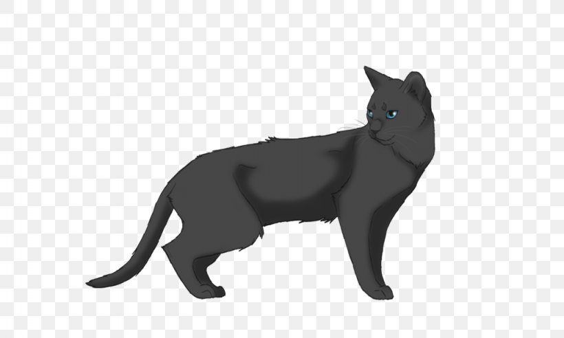Warriors Erin Hunter Bluestar's Prophecy Ashfoot Cat, PNG, 1024x615px, Warriors, Ashfoot, Beetlenose, Black, Black And White Download Free