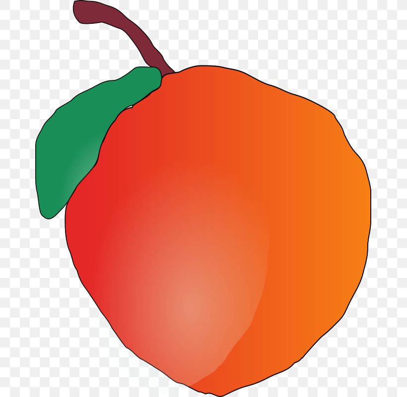 Apple Clip Art, PNG, 677x800px, Apple, Bell Peppers And Chili Peppers, Drawing, Flowering Plant, Food Download Free