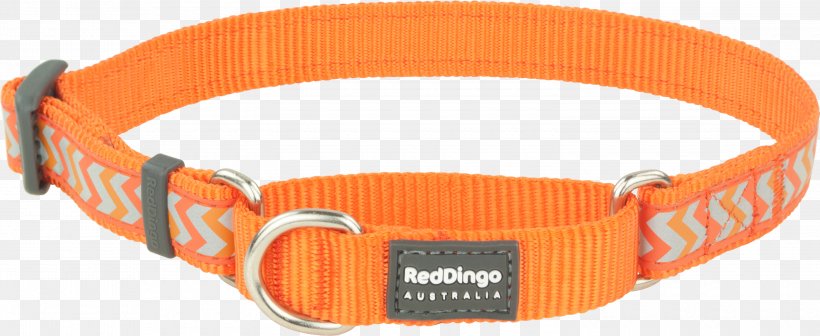 Dog Collar Dingo Martingale, PNG, 3000x1230px, Dog, Buckle, Clothing Accessories, Collar, Dingo Download Free
