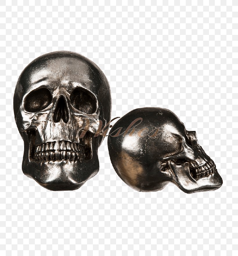 Human Skull Symbolism Totenkopf Skeleton Calavera, PNG, 760x880px, Skull, Body Jewelry, Bone, Calavera, Centimeter Download Free