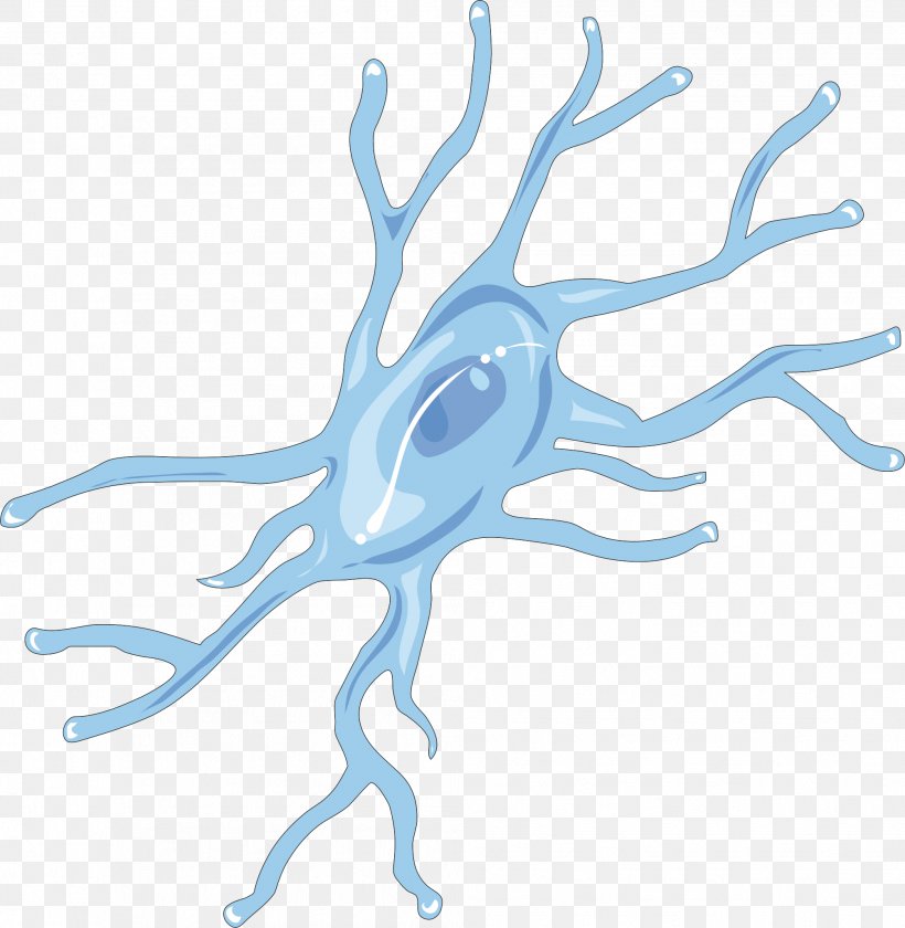 Microglia Brain Neuroglia Cell Remyelination, PNG, 2007x2056px, Watercolor, Cartoon, Flower, Frame, Heart Download Free