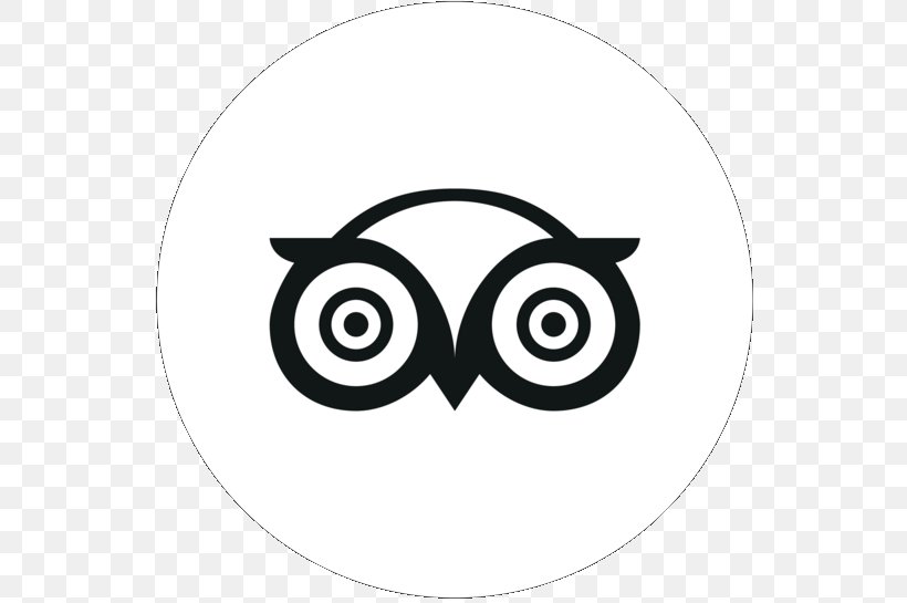 TripAdvisor Logo Image Hotel, PNG, 555x545px, Tripadvisor, Bird, Bird Of Prey, Cartoon, Eye Download Free