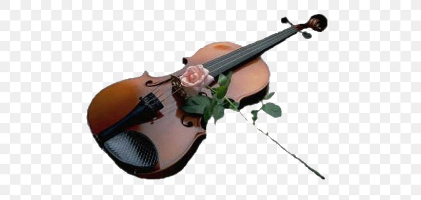 Violin YouTube Musical Instruments, PNG, 584x390px, Watercolor, Cartoon, Flower, Frame, Heart Download Free